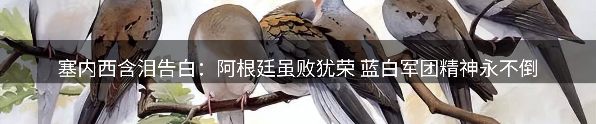 行业资讯