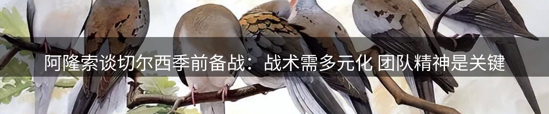 行业资讯